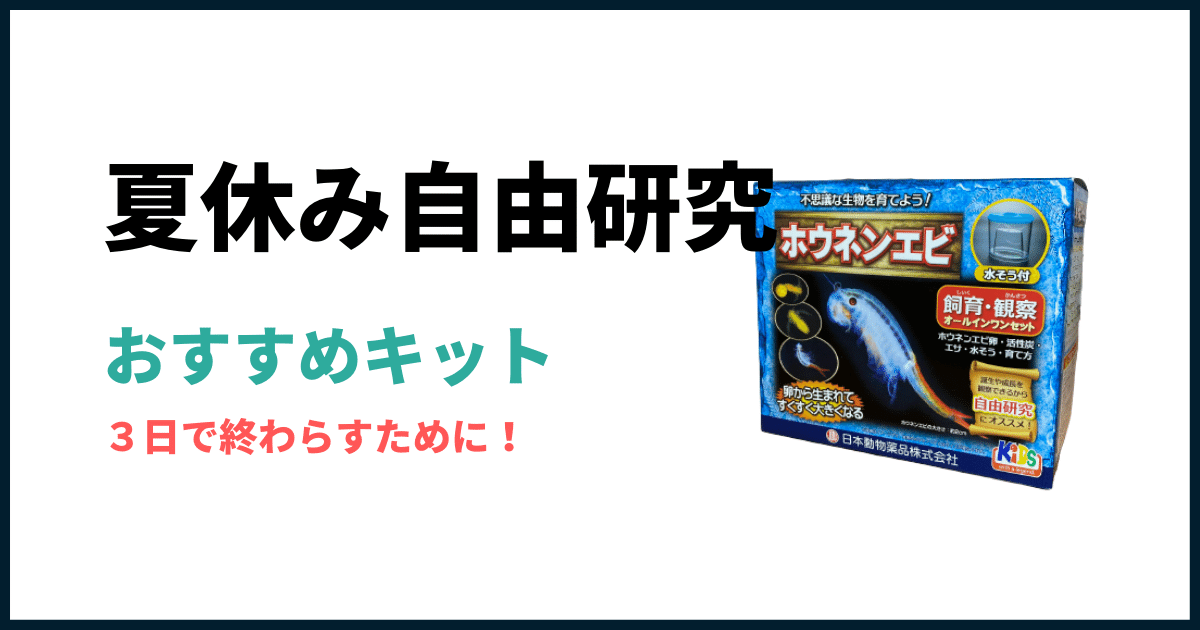 夏休み自由研究